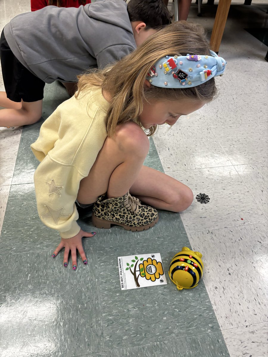 Alison Lieblich tweet media