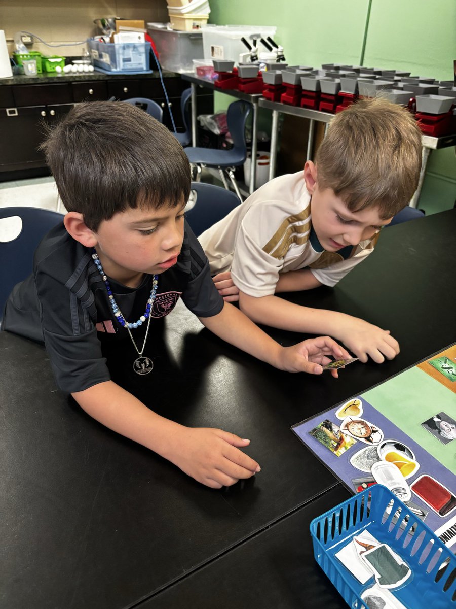 Alison Lieblich tweet media