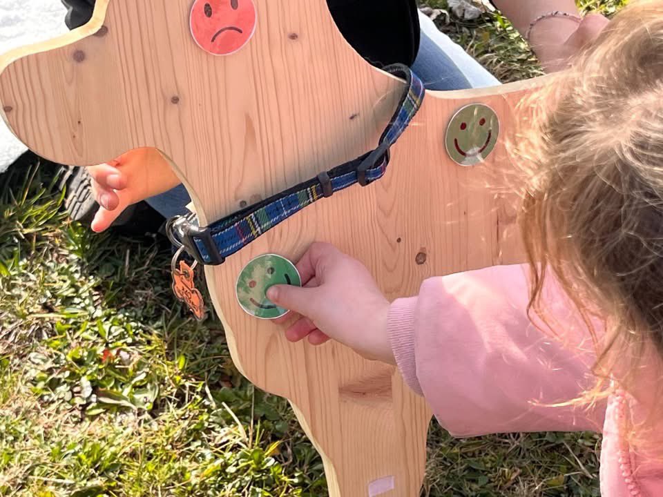 ProAzzate's tweet photo. Gli 'orsetti' (bimbi dell'ultimo anno), della nostra scuola dell'Infanzia di #Azzate (Va), hanno partecipato ad un progetto fantastico: conoscere l'affetto degli #animali :-) Oltre ad essere una #GreenSchool ;-) Il progetto di #PetEducation è stato finanziato da Pro Loco Azzate https://t.co/Qhp9sXfUF2