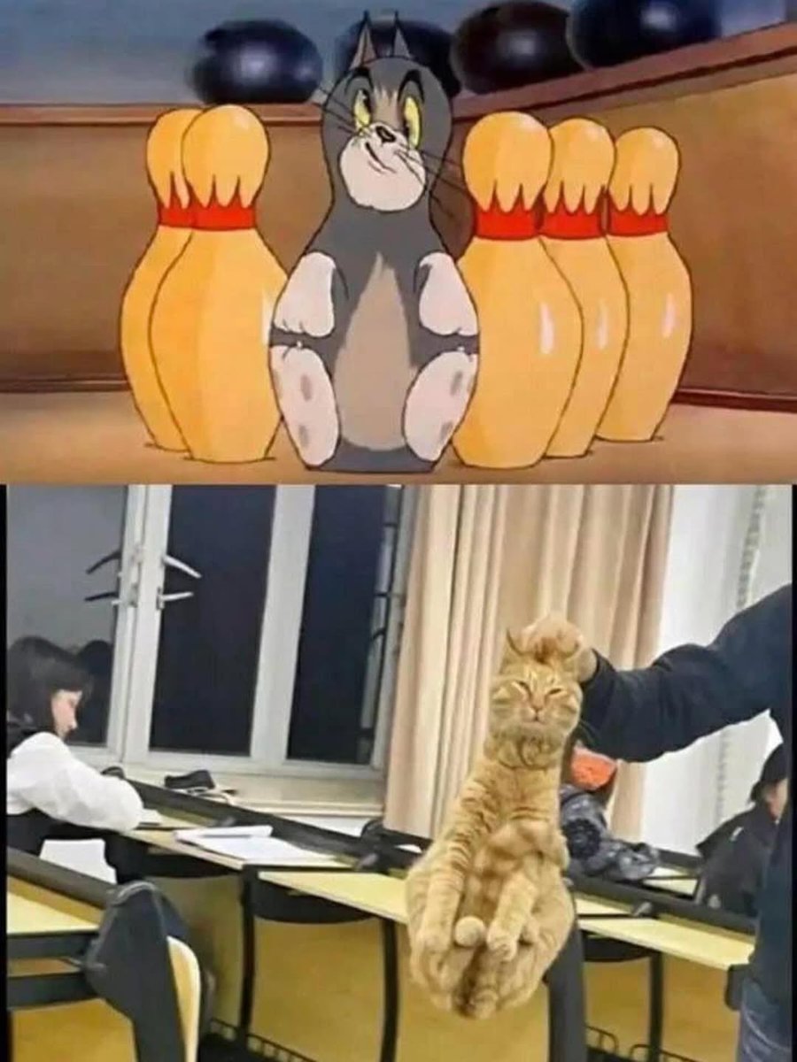 NO CONTEXT HUMANS (@humansnocontext) on Twitter photo 