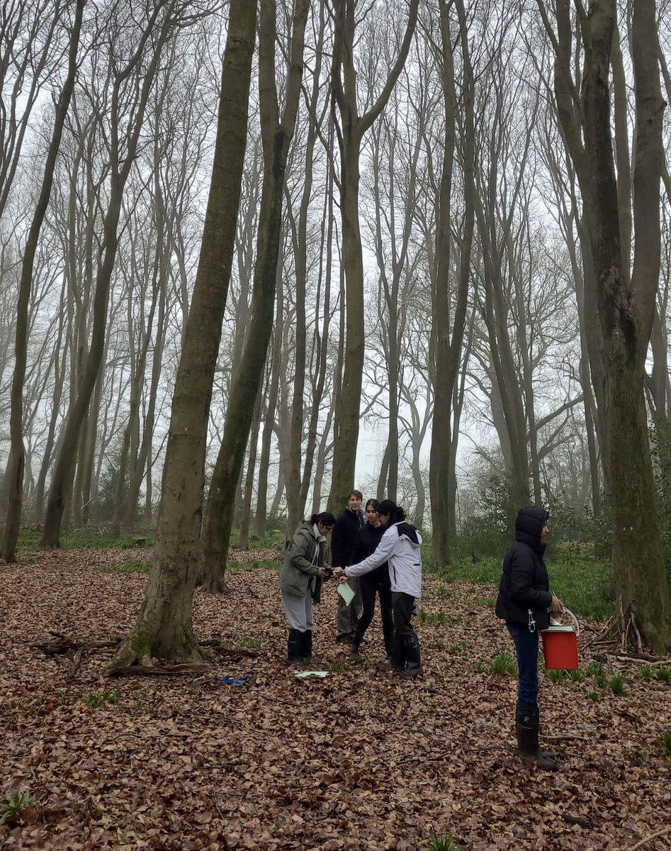 UCGSchool's tweet photo. Our Year 12 Geography students visited Amersham yesterday to increase their knowledge and understanding of carbon! This included measuring the carbon storage of beech trees in a managed area. Well done to the group! #curiosity https://t.co/DIkAx0R4D9