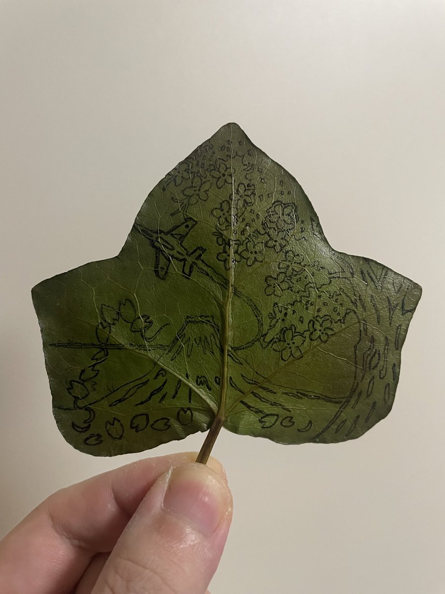 Rui@leafworld tweet media