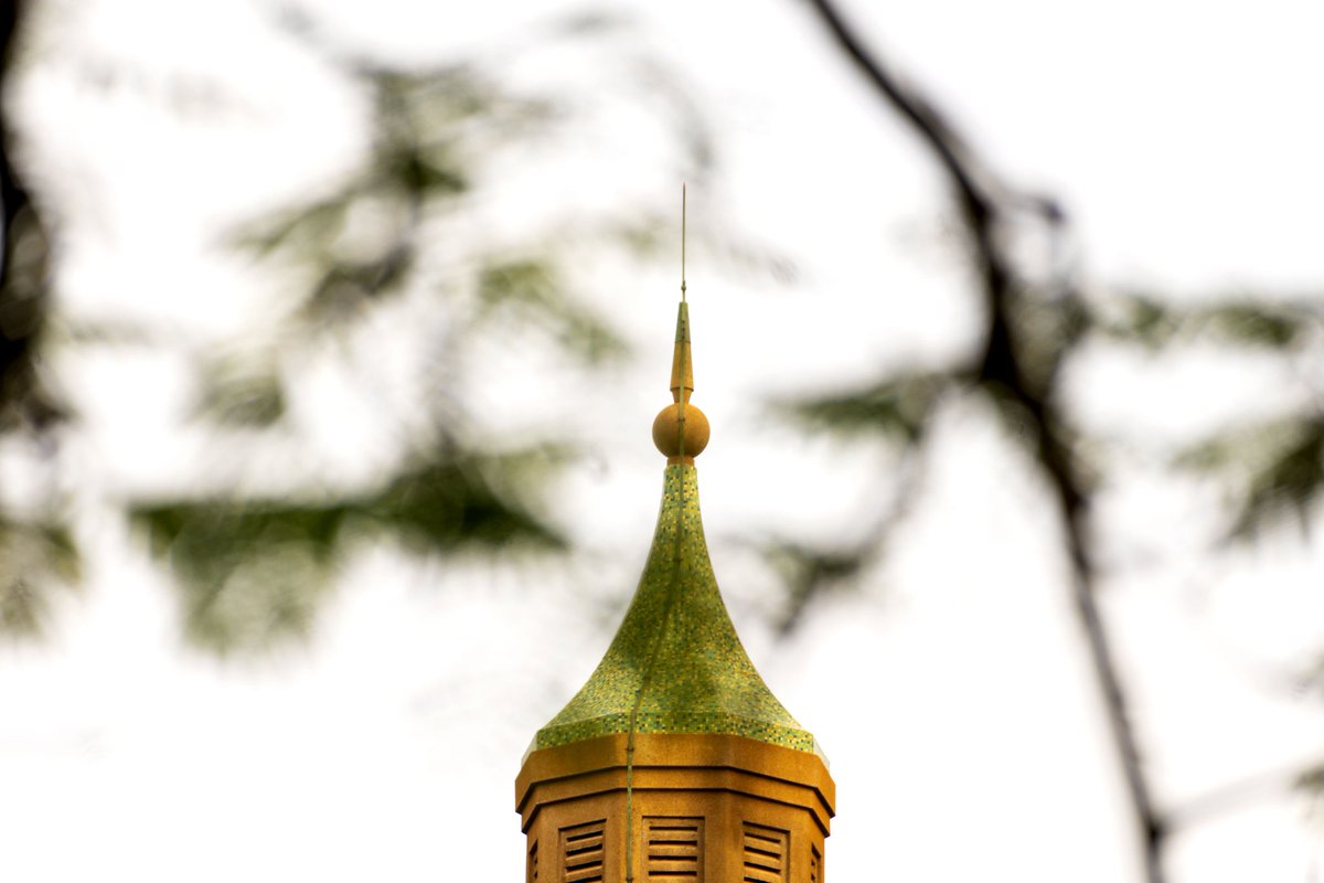 Erich Mboowa tweet media