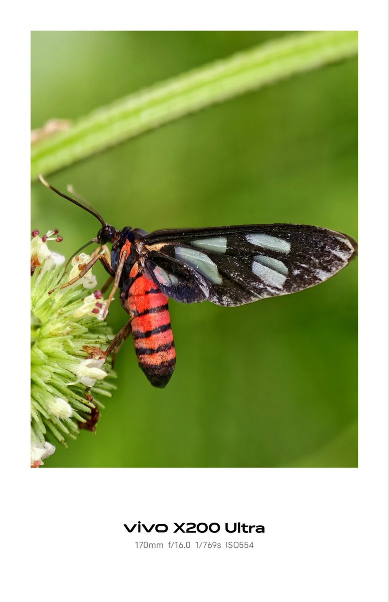 Photo of the day

#vivoX200Ultra
#ShotonSnapdragon

<a href="/Snapdragon/">Snapdragon</a> 
<a href="/Vivo_GLOBAL/">vivo Global</a> 
<a href="/vivo_espana/">vivo España</a>