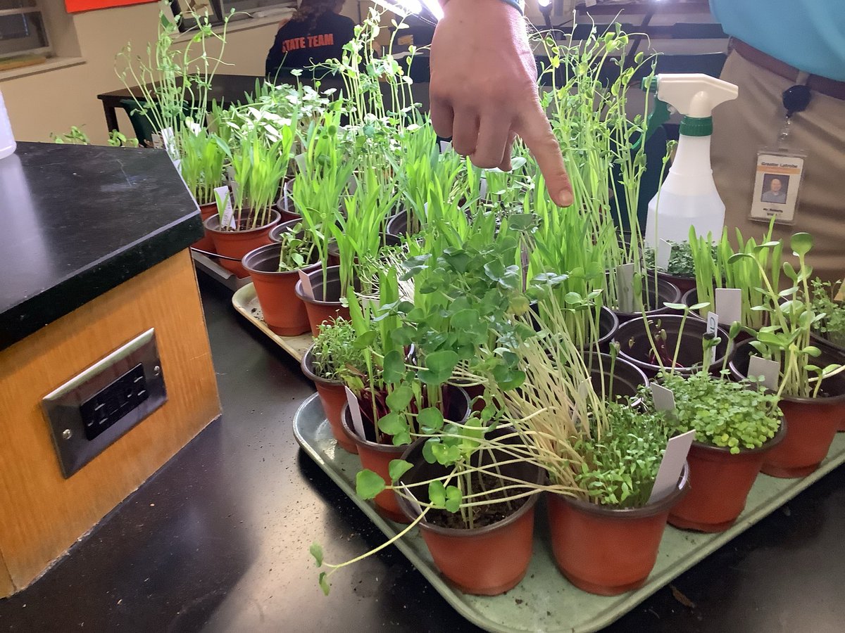 The High Post tweet media