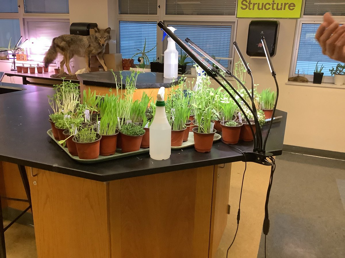 The High Post tweet media