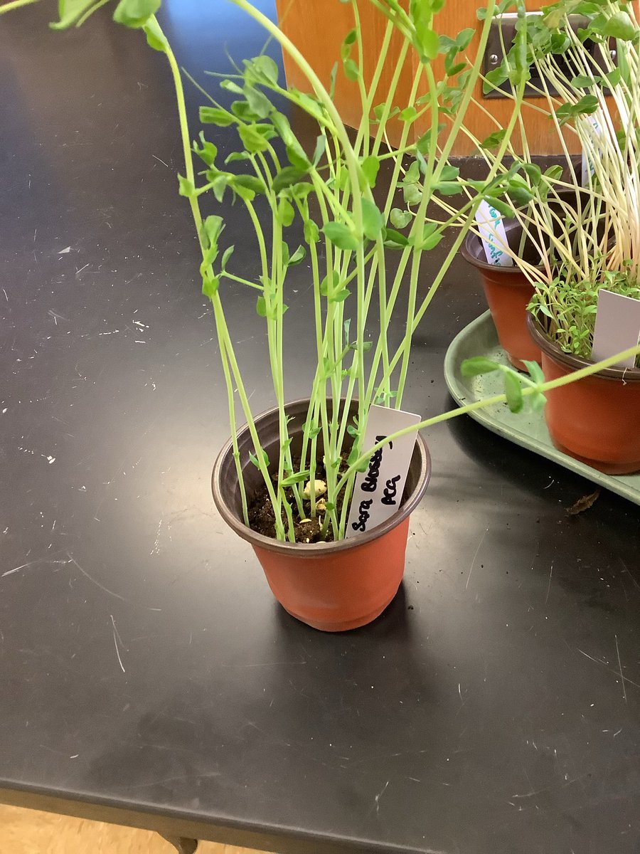 The High Post tweet media