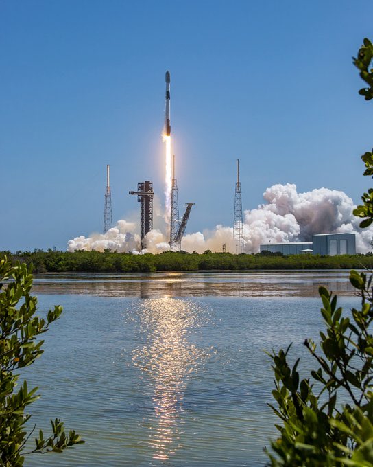 Reagan Beck tweet media