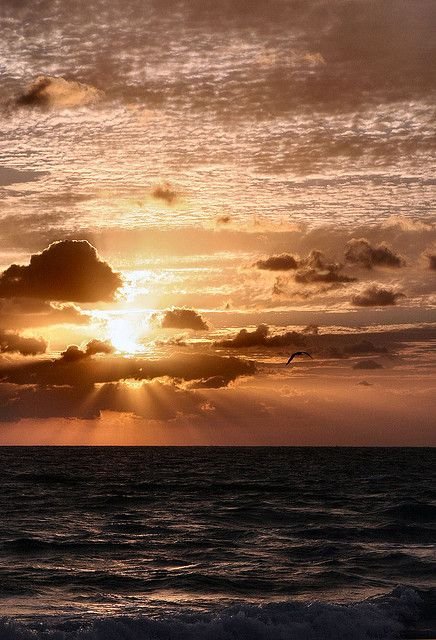 Franny Reilly tweet media