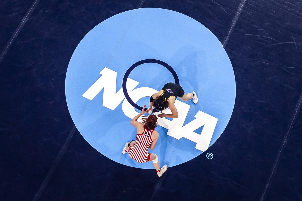 坂本眞一　Shin-ichi Sakamoto tweet media