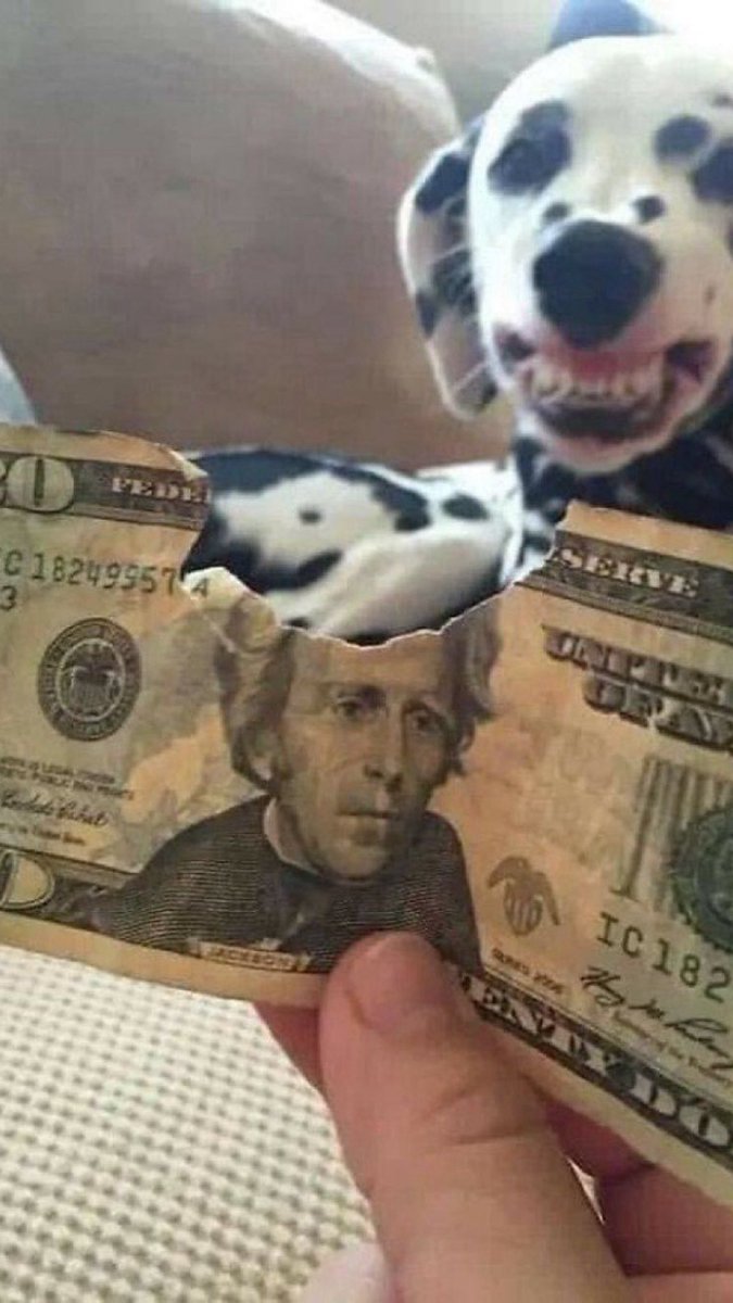 …— what would you do?