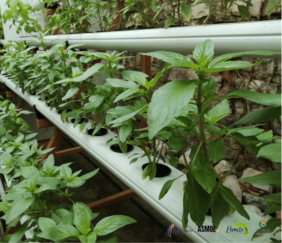 Urkome urola kosta tweet media