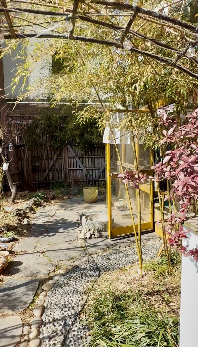 Jung Eunyoung tweet media