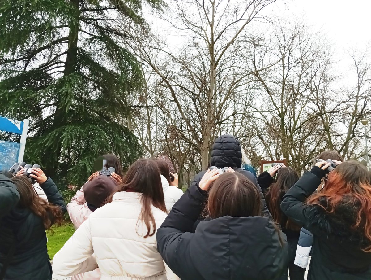 Aver Aves tweet media