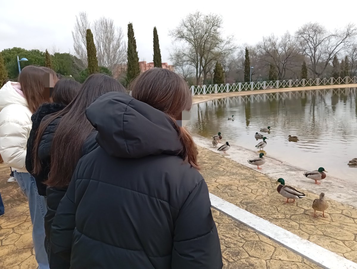 Aver Aves tweet media