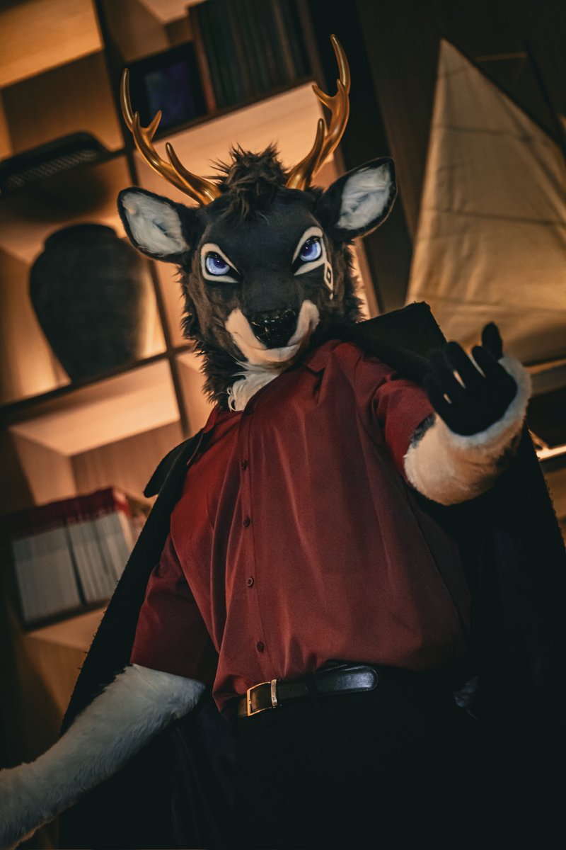 黑鹿季雪 ◈ BlackDeer Seasnow tweet media