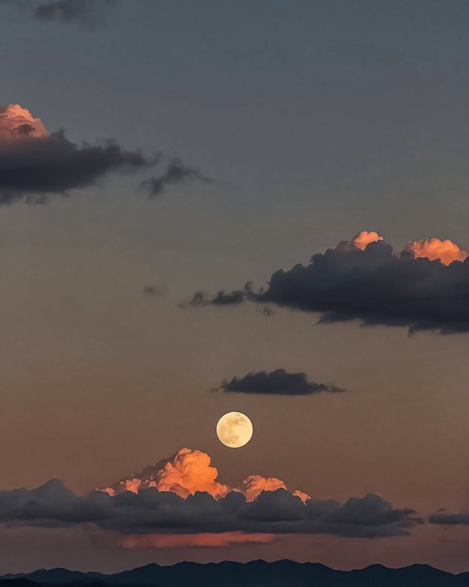 MOON LOVER tweet media