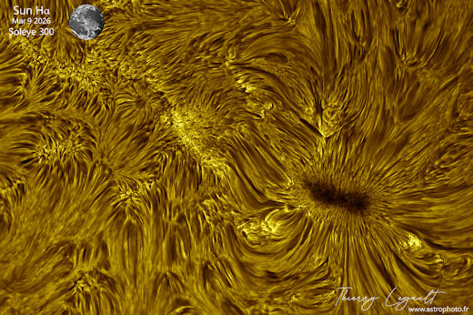 Eurypterus's tweet photo. https://t.co/aWXhL2ZNPJ
The peanut sunspot! Close-up on the Sun today on a spot not (more or less) round as usual. Taken in Halpha with the Soleye 300mm telescope at 13000mm FL (the Earth at scale in the corner) https://t.co/LsS7B8oF22