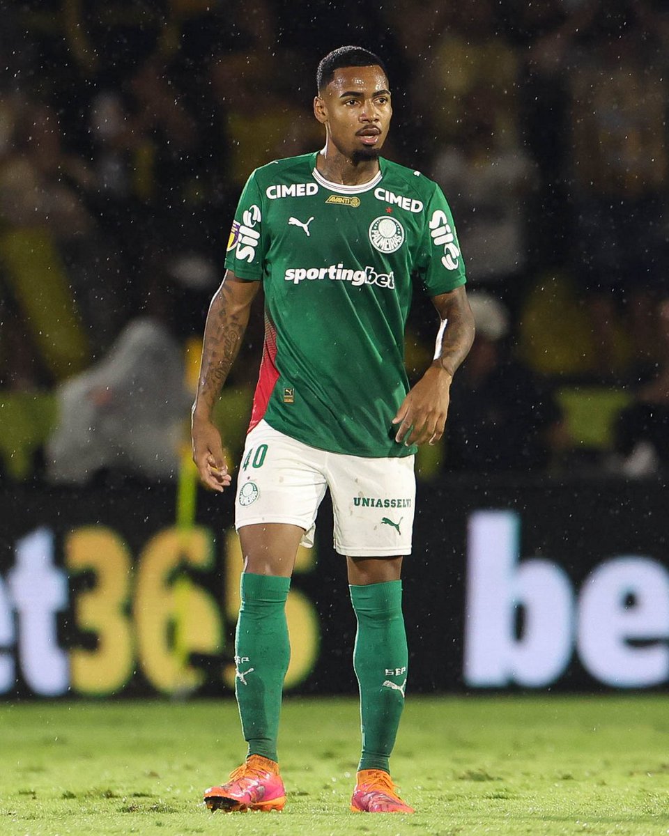 Diego Firmino - Canal P de Porco tweet media