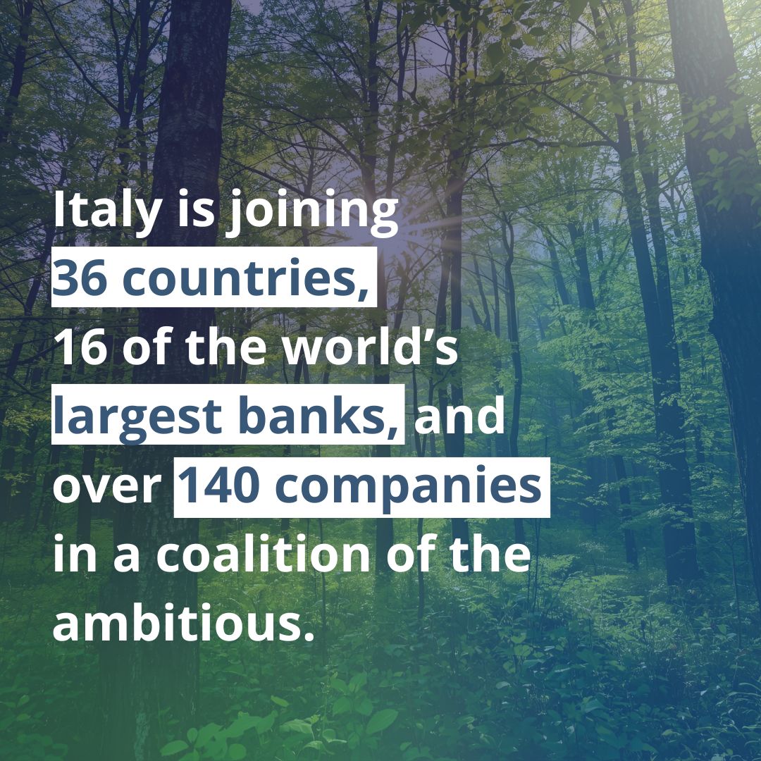 Net Zero Nuclear tweet media