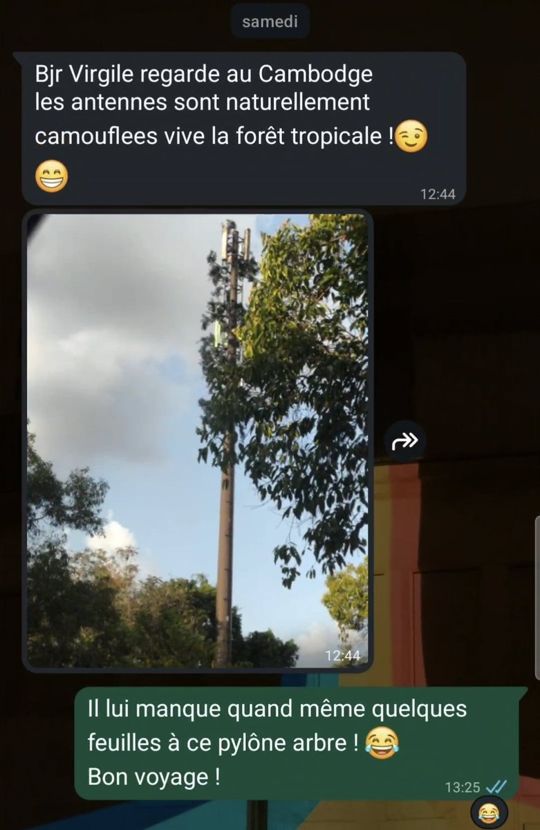 Yυмιкεмbεr 🦊📶 tweet media