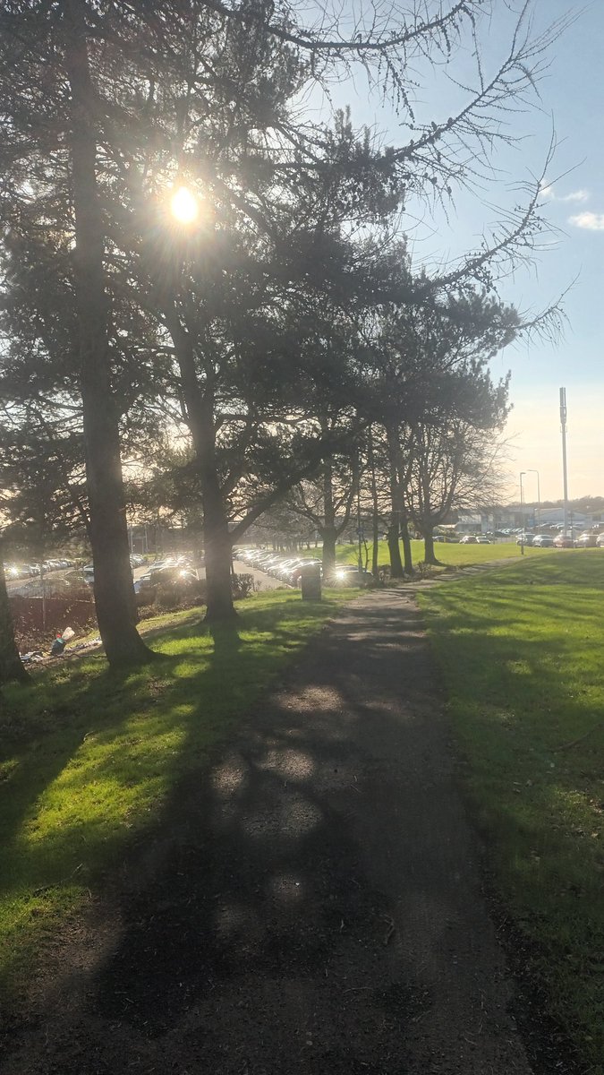 Franny Reilly tweet media