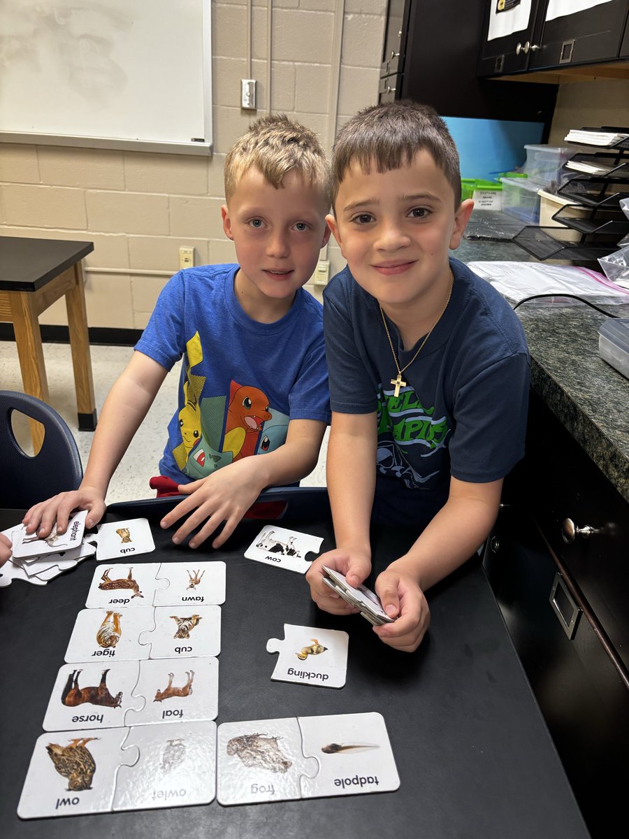 Alison Lieblich tweet media