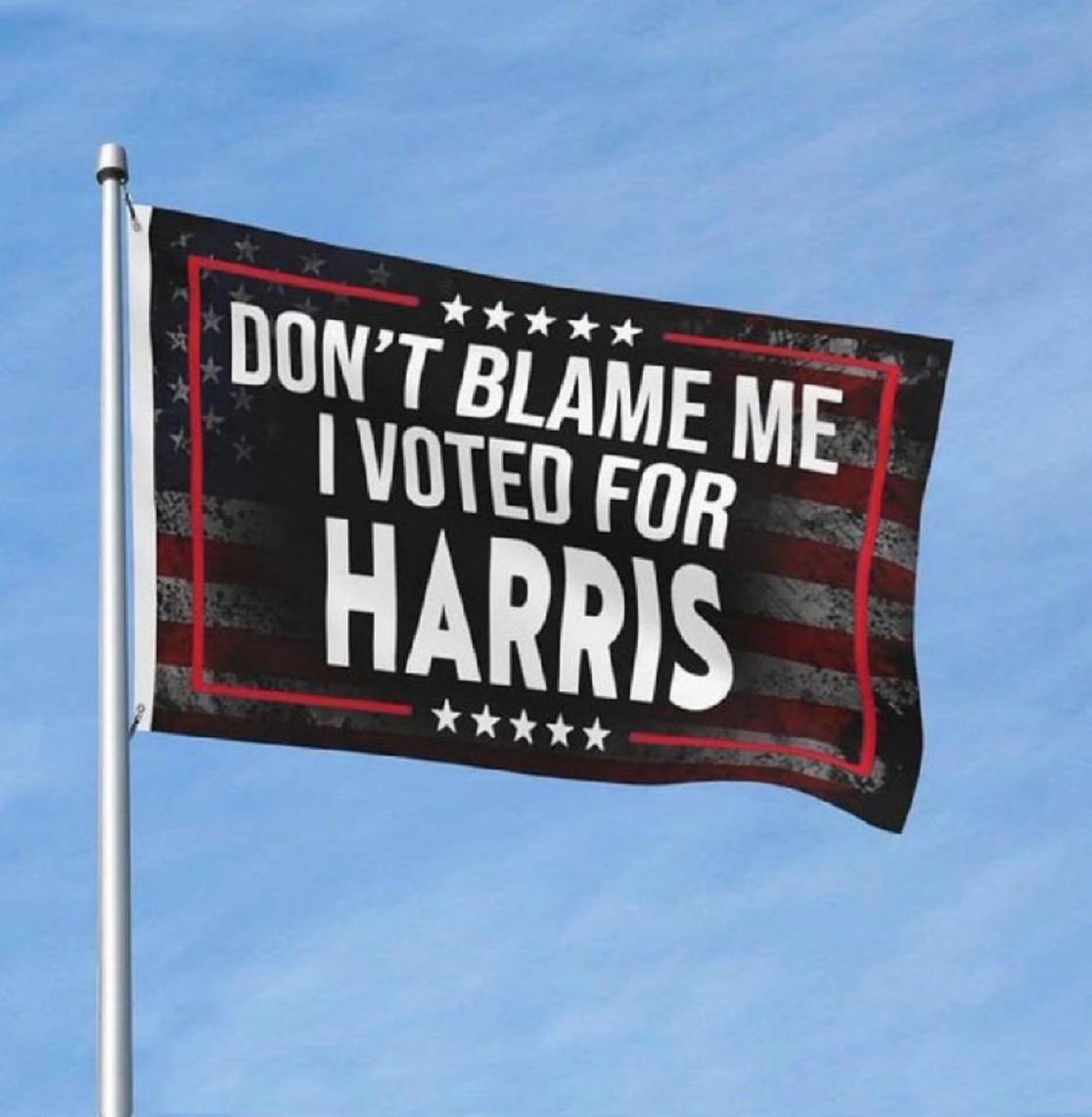 bluhue123's tweet image. Drop a 💙 if you voted for Kamala Harris