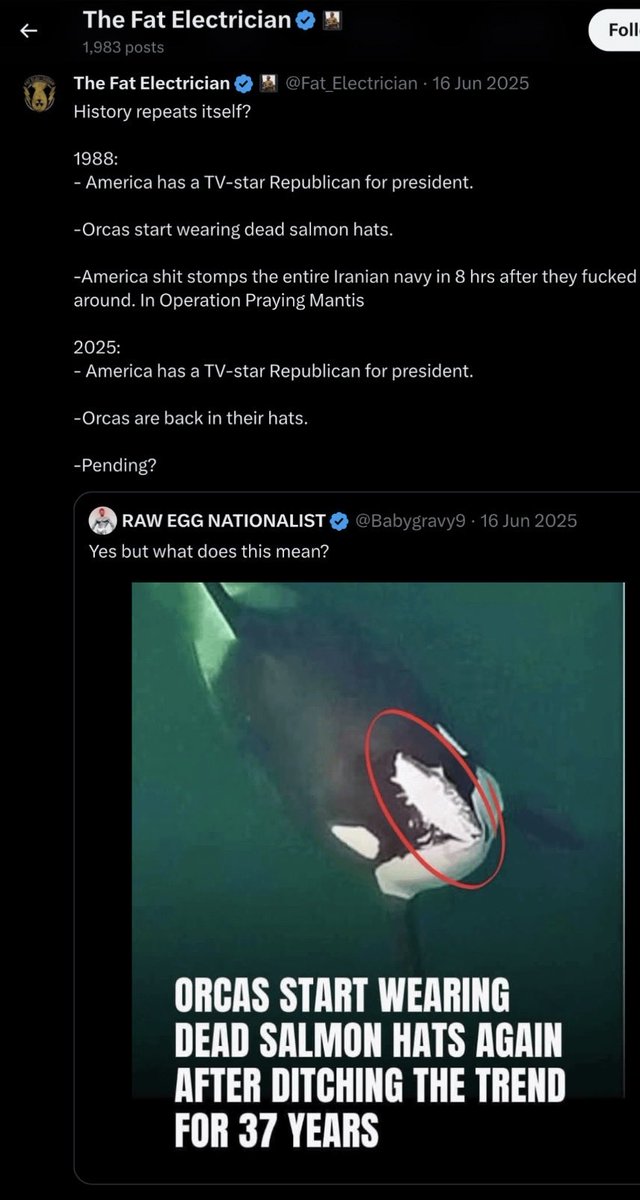 The Fat Electrician tweet media