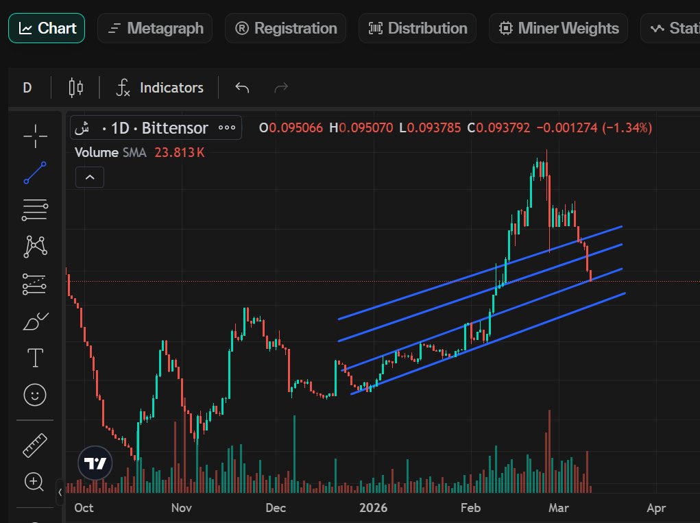 💾 TomTensor 📈 tweet media