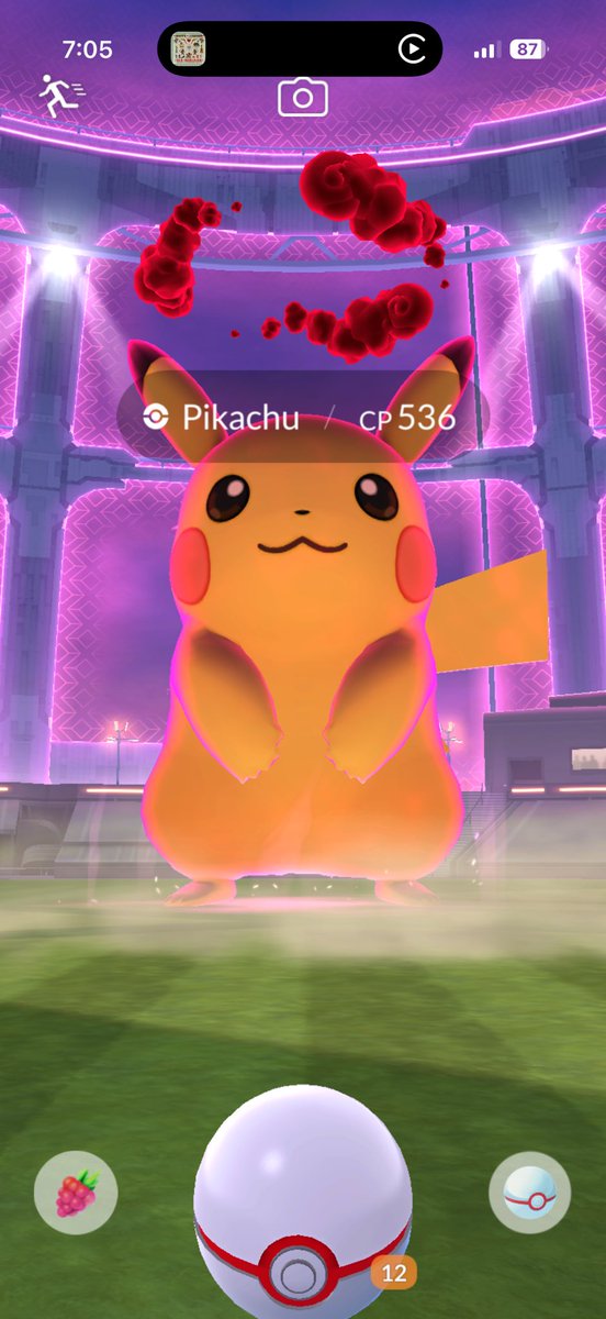 𝓶𝓼 𝓹𝓸GOBIRDS✿ tweet media