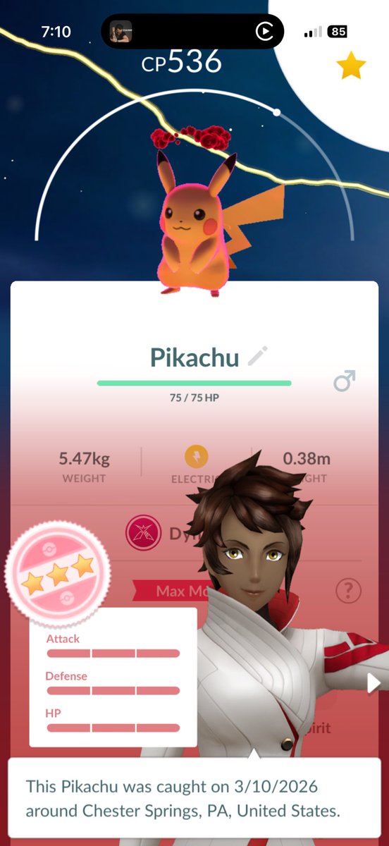 𝓶𝓼 𝓹𝓸GOBIRDS✿ tweet media