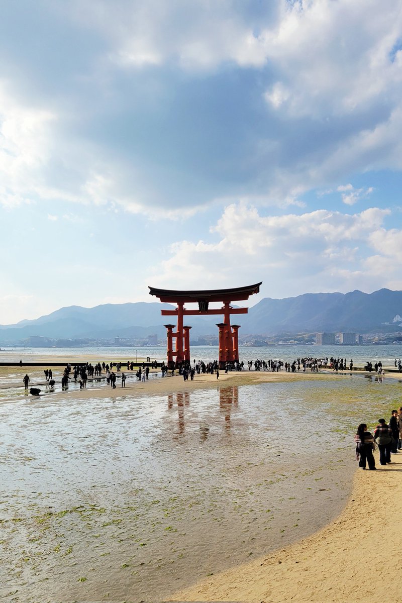 know_y179's tweet photo. 広島観光
宮島はとても良いところで気持ちが良かった
揚げもみじ饅頭食べなかったのが悔やまれる
また行きたいな https://t.co/vxi937P3pe
