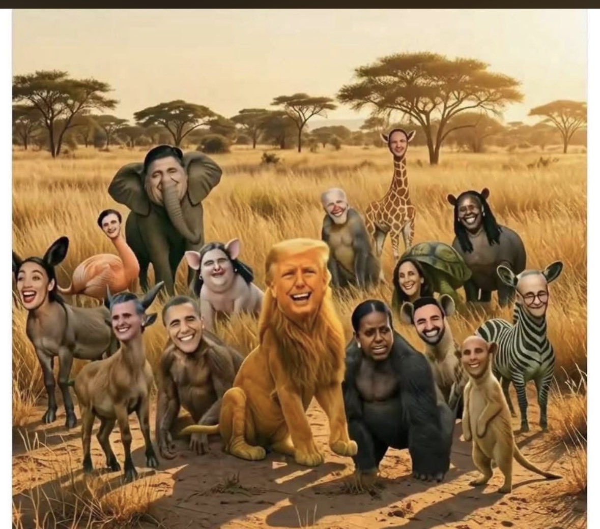 Anna Altbach tweet media