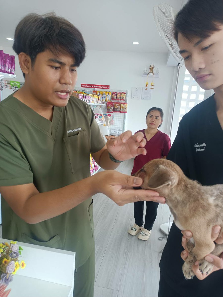 รักหมาจัง🐾 tweet media