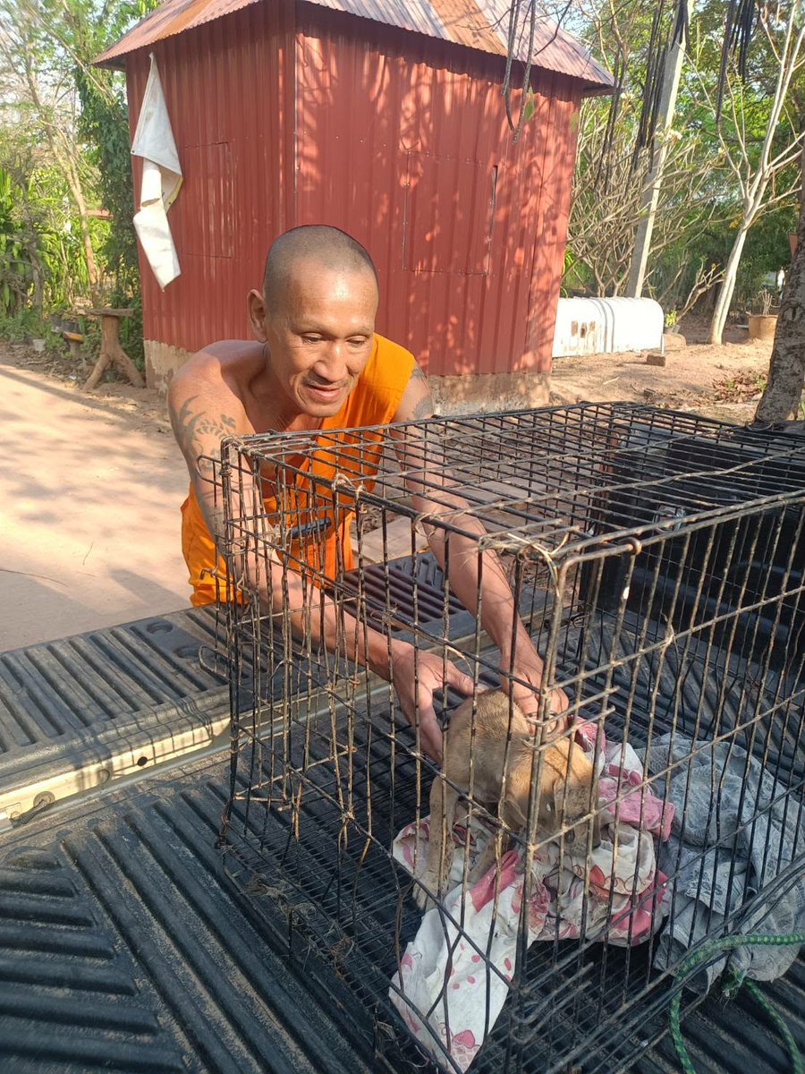 รักหมาจัง🐾 tweet media
