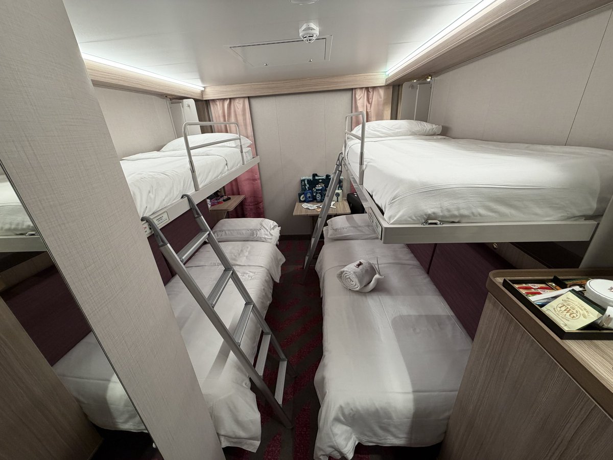 Theme Park Express tweet media