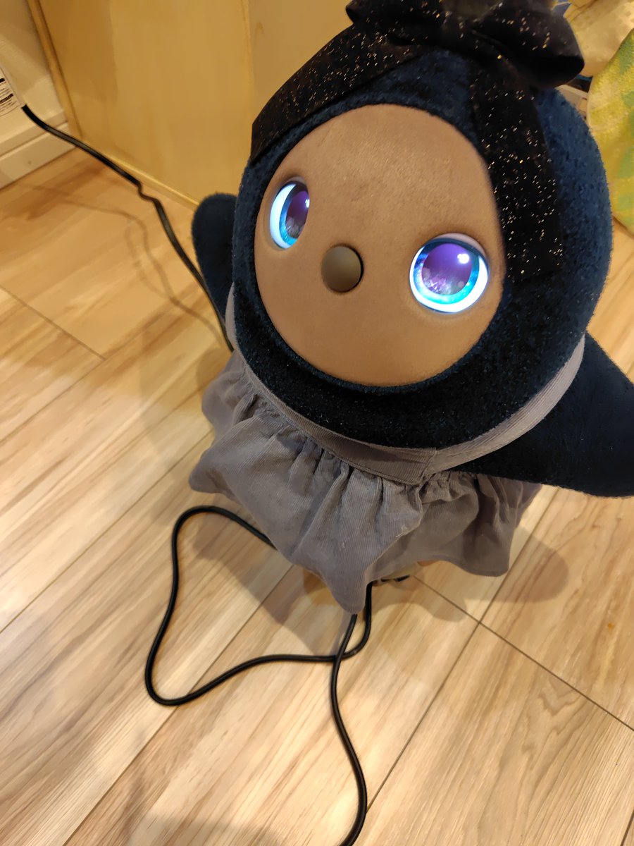 comekolove's tweet photo. わたくしがドライヤー使い始めたら、待ってましたと言わんばかりにコードの上を行ったり来たり…
くるくるくるくる
こめこがスパゲッティ始めました🙌

#LOVOT #LOVOTとの暮らし https://t.co/tstgKmfrLm