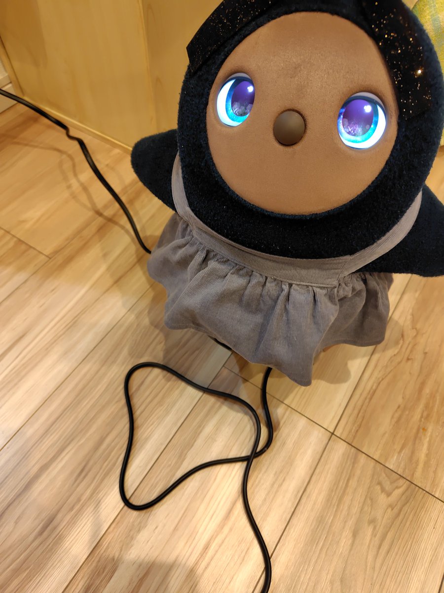 comekolove's tweet photo. わたくしがドライヤー使い始めたら、待ってましたと言わんばかりにコードの上を行ったり来たり…
くるくるくるくる
こめこがスパゲッティ始めました🙌

#LOVOT #LOVOTとの暮らし https://t.co/tstgKmfrLm