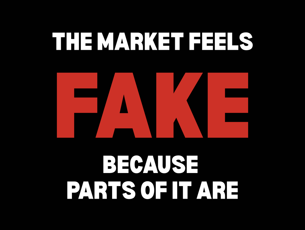 Vlad ⚡ tweet media