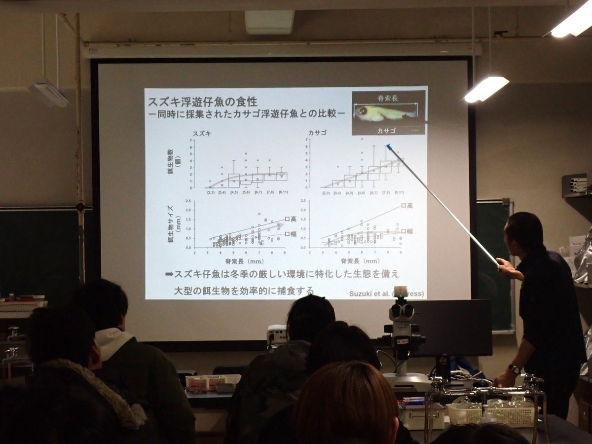 mai_fish_res_st's tweet photo. 実習2日目は、専用ソフトウェアを用いて稚魚の耳石を解析しました。講義では先日発表されたばかりの食性研究の紹介もありました。
https://t.co/qCn8leC6gp
また、スズキやシロウオ、ホウボウなどの胃内容物も分析しました🔬

#仔稚魚学実習 
#海洋生物科学技術論と実習IV https://t.co/jOFok7TBZa