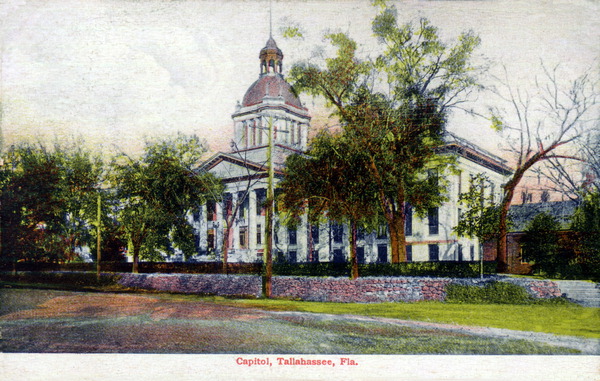 State Library of FL tweet media