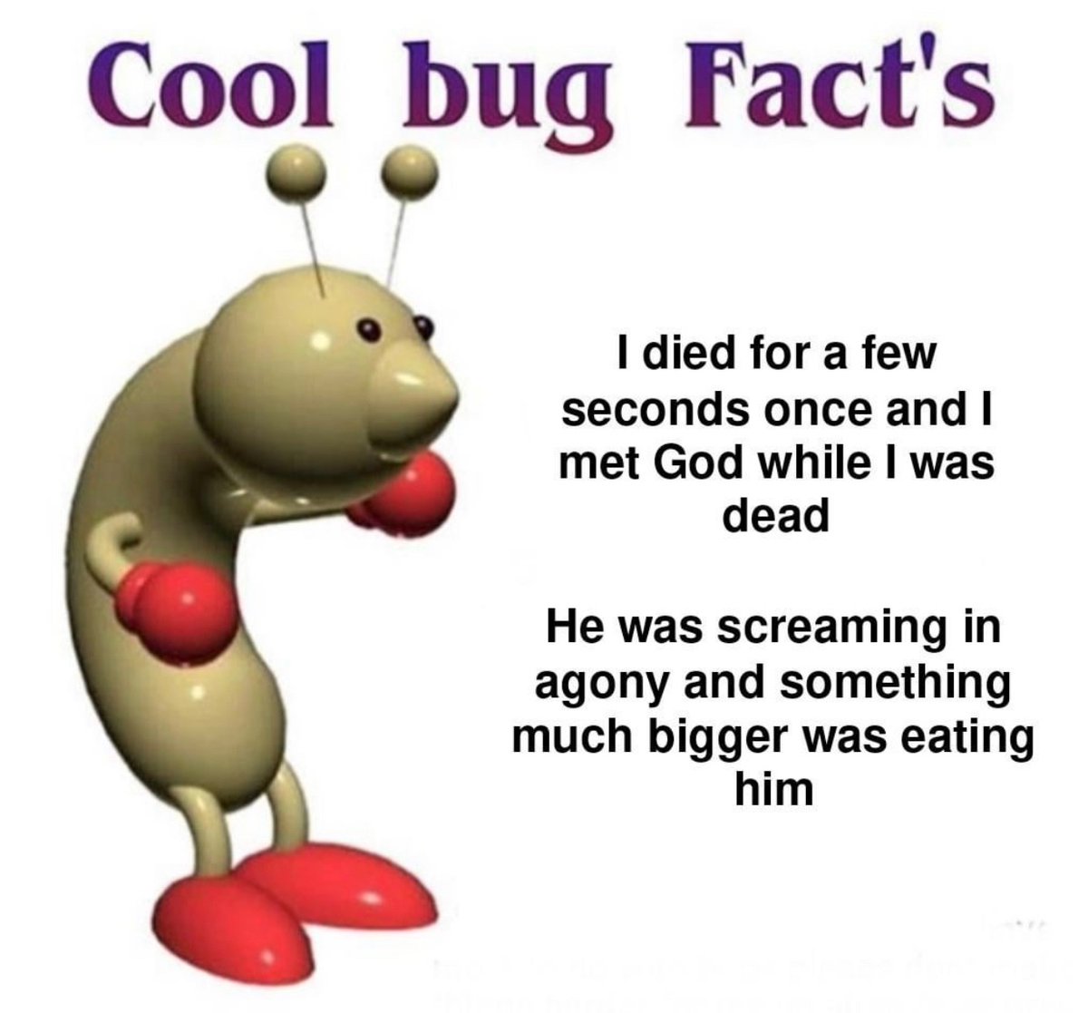 ShitpostGateway tweet media