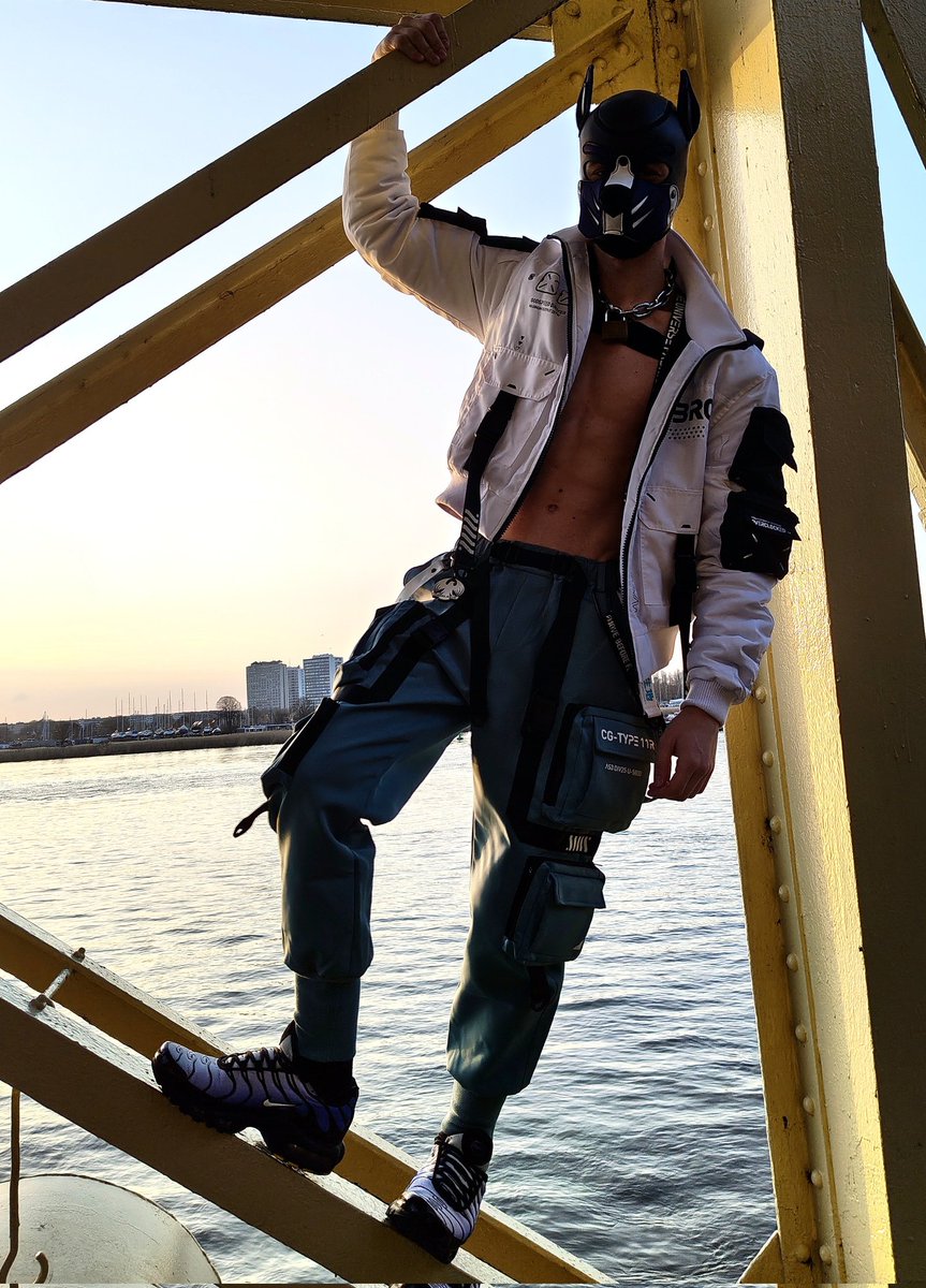 Pup Dutch 🔜 🇬🇧Animalz tweet media