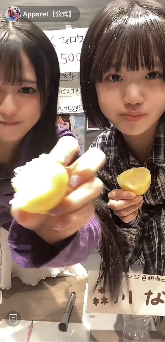 hiro1978000's tweet photo. あむはレモンの皮食べるし、
なちゅは実を食べても平気そうで面白かった笑
#Appare https://t.co/bAguWfeFDi