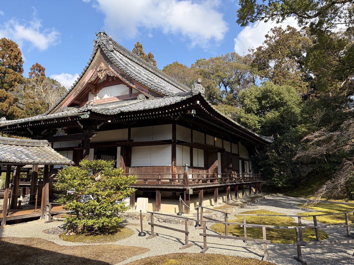 1000bero's tweet photo. お久しぶりの醍醐寺。三宝院としては令和初ですね。重要なお隣の理性院との位置関係も今回はしっかり確かめて、「京の冬の旅」で訪れました。近くの「キッチン煌」さんの海老フライも頭から尻尾まで全部美味しかったです。次回はハンバーグ食べてみたいですね。 https://t.co/gxsfjGvbfP