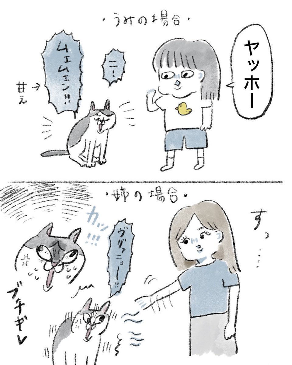 のなか海　書籍発売😽 tweet media