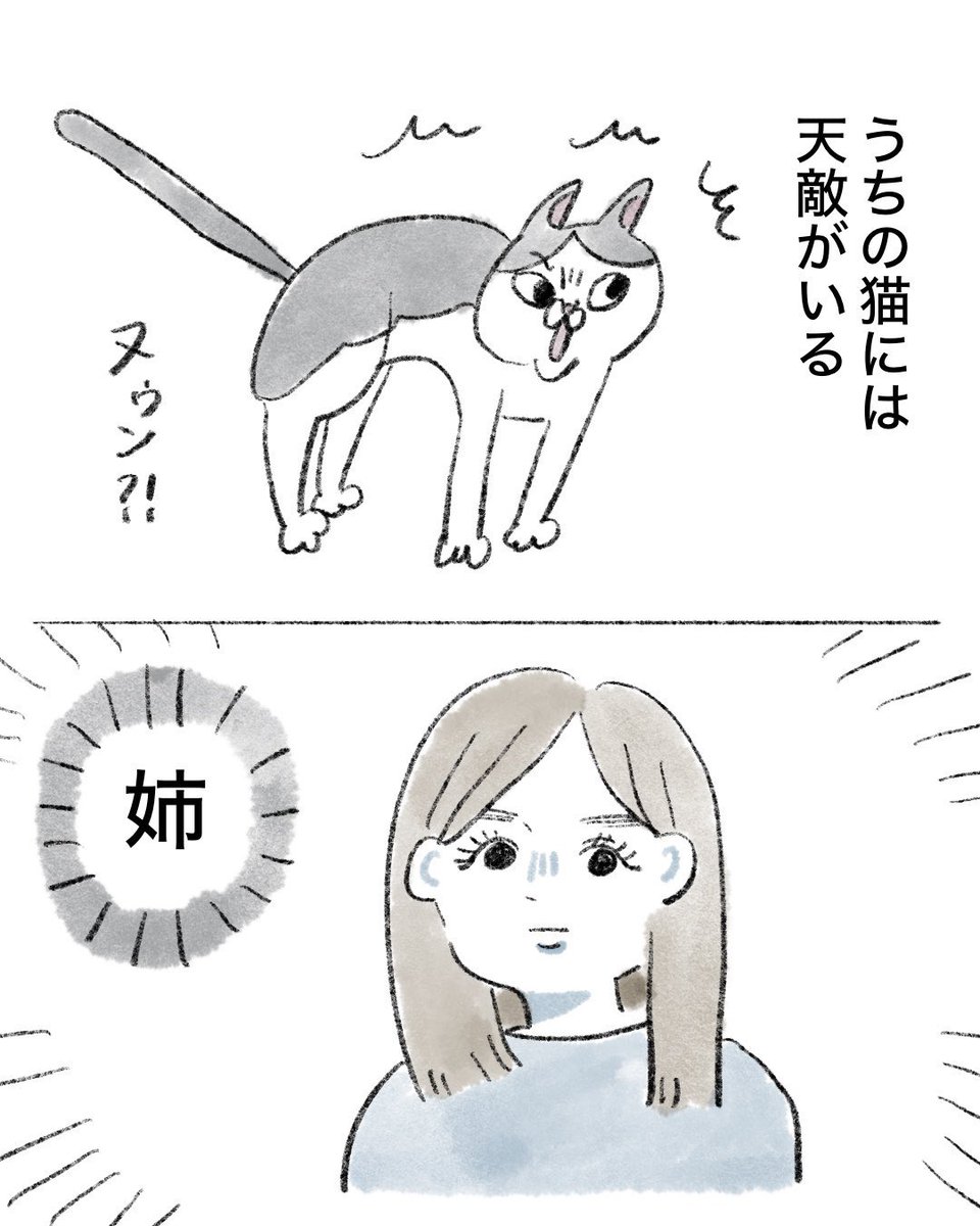 のなか海　書籍発売😽 tweet media