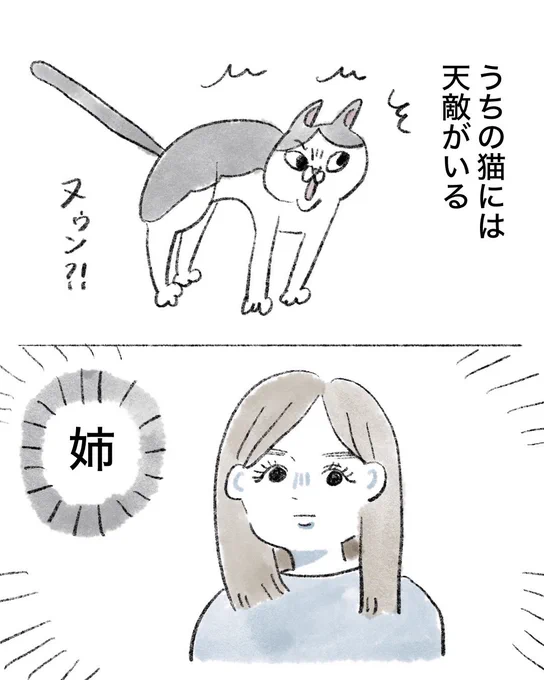【猫漫画】

猫好きは猫に嫌われる
人気の回です。 