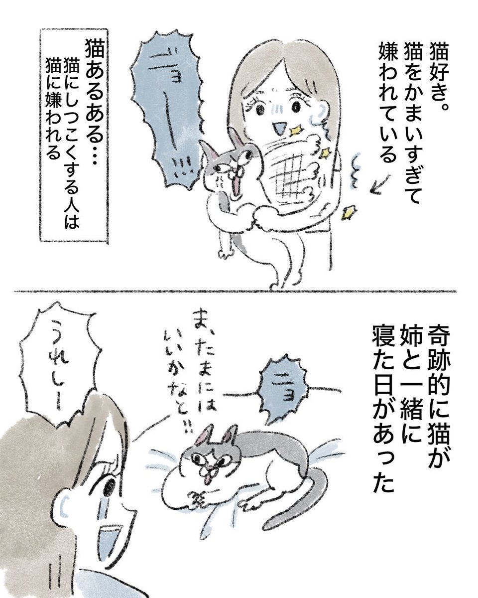 のなか海　書籍発売😽 tweet media